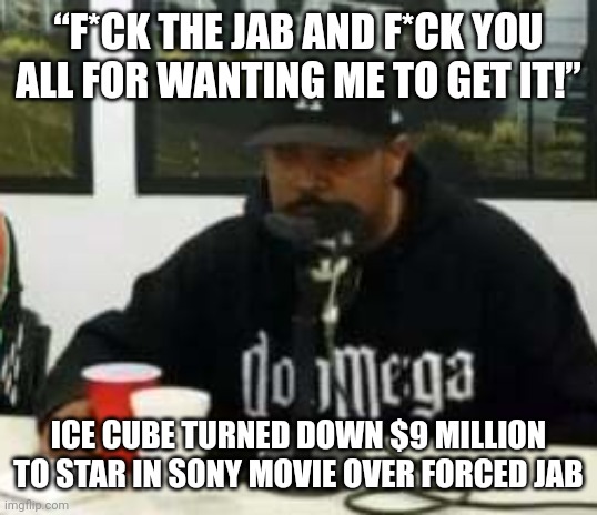 I would've said the same thing. | “F*CK THE JAB AND F*CK YOU ALL FOR WANTING ME TO GET IT!”; ICE CUBE TURNED DOWN $9 MILLION TO STAR IN SONY MOVIE OVER FORCED JAB | image tagged in memes | made w/ Imgflip meme maker