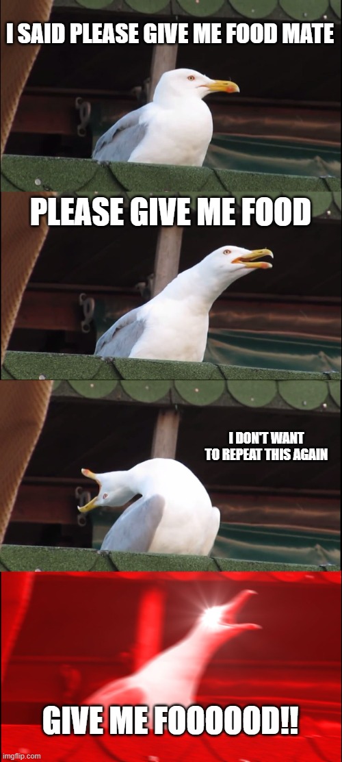 Inhaling Seagull Meme | I SAID PLEASE GIVE ME FOOD MATE; PLEASE GIVE ME FOOD; I DON'T WANT TO REPEAT THIS AGAIN; GIVE ME FOOOOOD!! | image tagged in memes,inhaling seagull | made w/ Imgflip meme maker