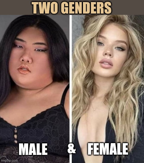 Just some quick biology for ya. | TWO GENDERS; MALE; &; FEMALE | image tagged in memes | made w/ Imgflip meme maker