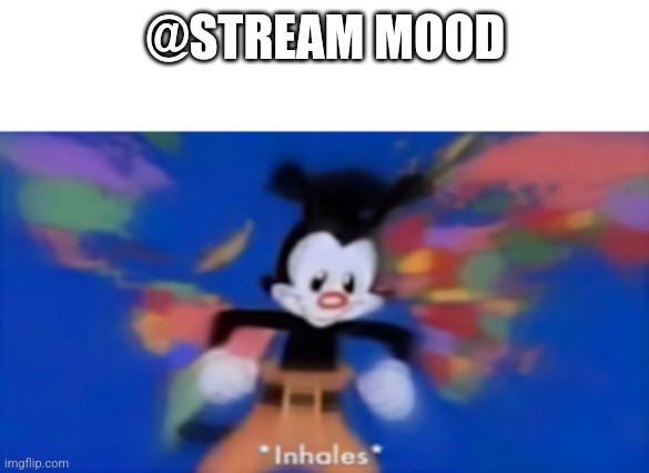 Yakko inhale | @STREAM MOOD | image tagged in yakko inhale | made w/ Imgflip meme maker