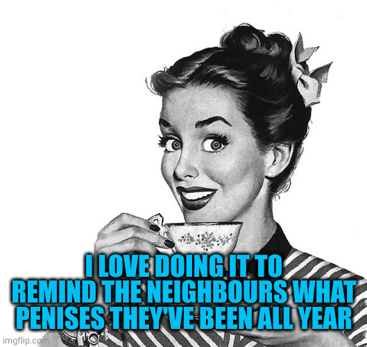 Retro woman teacup | I LOVE DOING IT TO REMIND THE NEIGHBOURS WHAT PENISES THEY'VE BEEN ALL YEAR | image tagged in retro woman teacup | made w/ Imgflip meme maker