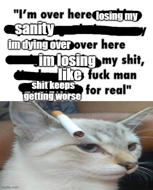Im Over Here | losing my; sanity; im dying over; im losing; like; shit keeps getting worse | image tagged in shitpost | made w/ Imgflip meme maker