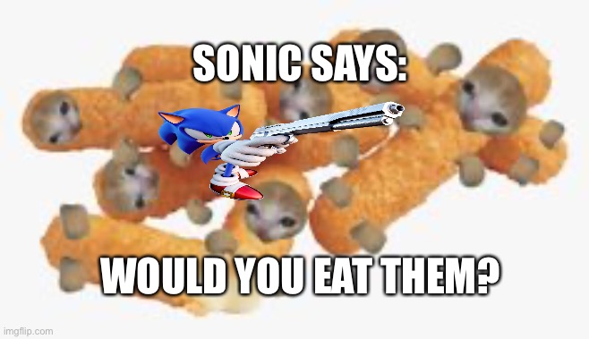 Would you | SONIC SAYS:; WOULD YOU EAT THEM? | image tagged in cat,cats,food,sonic says,gun,question | made w/ Imgflip meme maker