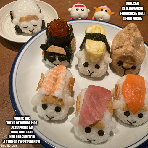 Molcar Sushi | MOLCAR IS A JAPANESE FRANCHISE THAT I FIND NICHE; WHERE THE TREND OF GUINEA PIGS JUXTAPOSED AS CARS WILL FADE INTO OBSCURITY IN A YEAR OR TWO FROM NOW | image tagged in food,memes | made w/ Imgflip meme maker