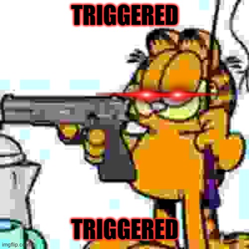 GARFIELD IS TRIGGERED | TRIGGERED; TRIGGERED | image tagged in garfield about to kill your ass | made w/ Imgflip meme maker