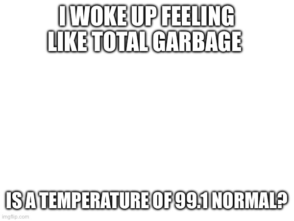 99.1 is pretty close to 100… | I WOKE UP FEELING LIKE TOTAL GARBAGE; IS A TEMPERATURE OF 99.1 NORMAL? | made w/ Imgflip meme maker