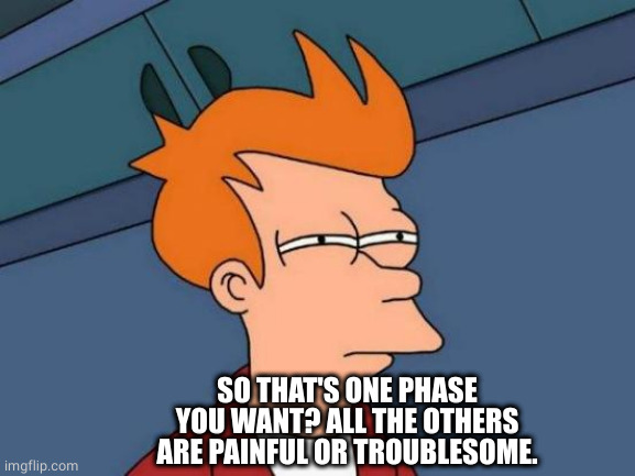 Futurama Fry Meme | SO THAT'S ONE PHASE YOU WANT? ALL THE OTHERS ARE PAINFUL OR TROUBLESOME. | image tagged in memes,futurama fry | made w/ Imgflip meme maker