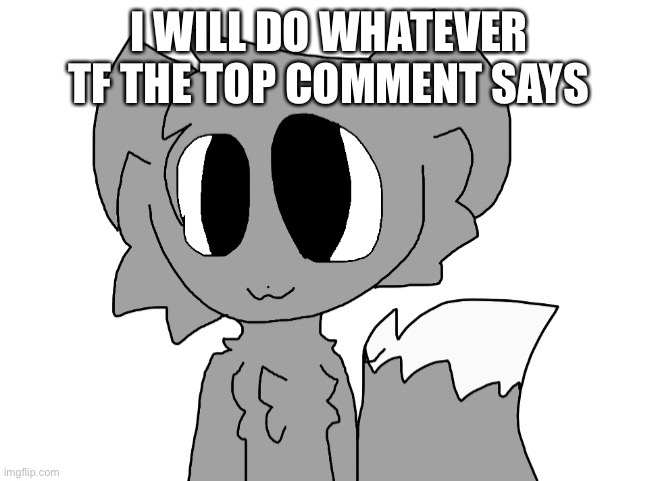 LordReaperus | I WILL DO WHATEVER TF THE TOP COMMENT SAYS | image tagged in lordreaperus | made w/ Imgflip meme maker