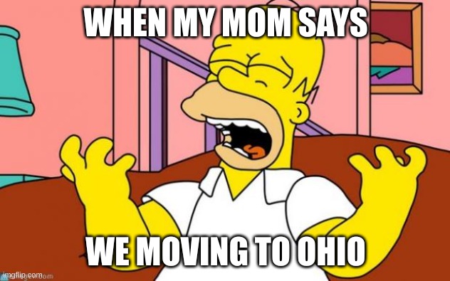 Nooooo! | WHEN MY MOM SAYS; WE MOVING TO OHIO | image tagged in nooooo | made w/ Imgflip meme maker