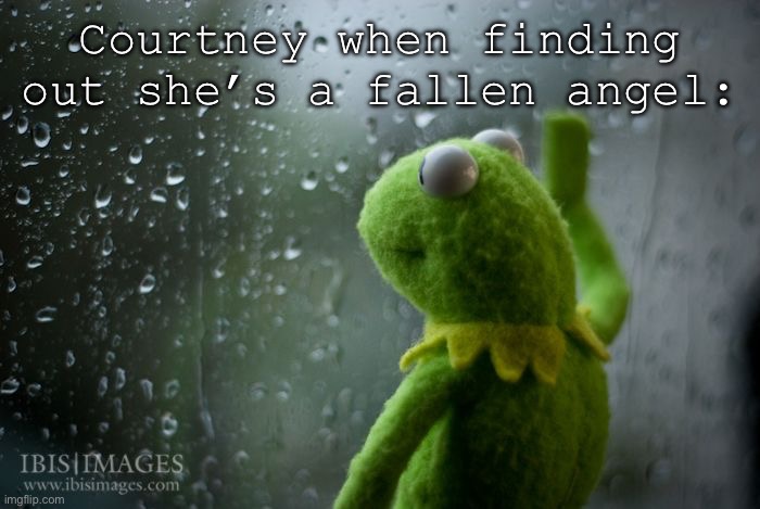 my theory was right! Owner note: WOW this really works?!? | Courtney when finding out she’s a fallen angel: | image tagged in kermit window | made w/ Imgflip meme maker