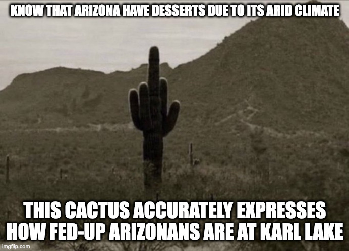 Cactus in Arizona | KNOW THAT ARIZONA HAVE DESSERTS DUE TO ITS ARID CLIMATE; THIS CACTUS ACCURATELY EXPRESSES HOW FED-UP ARIZONANS ARE AT KARL LAKE | image tagged in politics,karl laike,arizona,memes | made w/ Imgflip meme maker