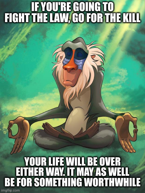 Rafiki wisdom | IF YOU'RE GOING TO FIGHT THE LAW, GO FOR THE KILL YOUR LIFE WILL BE OVER EITHER WAY. IT MAY AS WELL BE FOR SOMETHING WORTHWHILE | image tagged in rafiki wisdom | made w/ Imgflip meme maker