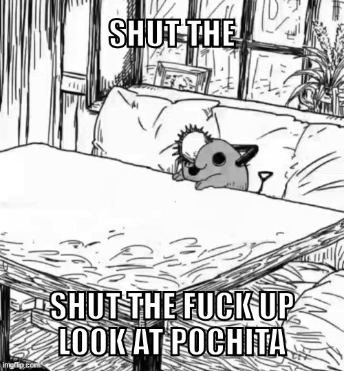 stfu and look at pochita | image tagged in stfu and look at pochita | made w/ Imgflip meme maker