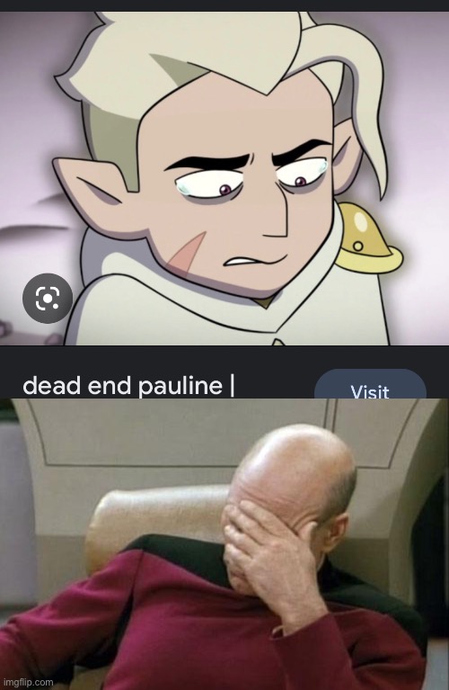Wow- | image tagged in memes,captain picard facepalm | made w/ Imgflip meme maker