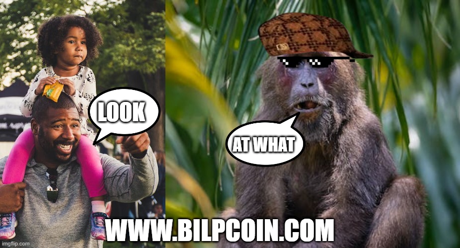 LOOK; AT WHAT; WWW.BILPCOIN.COM | made w/ Imgflip meme maker