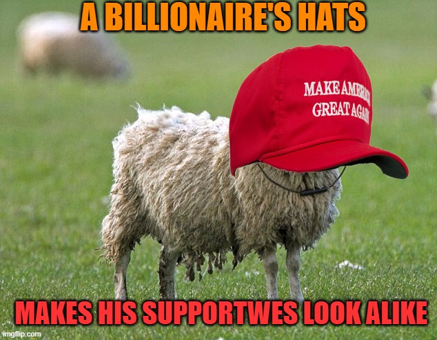 stupid sheep | A BILLIONAIRE'S HATS MAKES HIS SUPPORTWES LOOK ALIKE | image tagged in stupid sheep | made w/ Imgflip meme maker