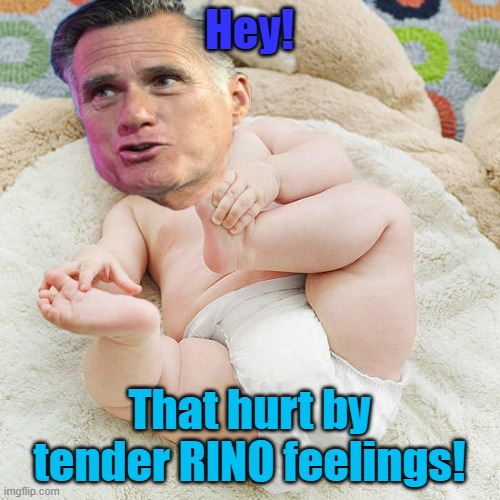 Senator Mitt Romney | Hey! That hurt by tender RINO feelings! | image tagged in senator mitt romney | made w/ Imgflip meme maker