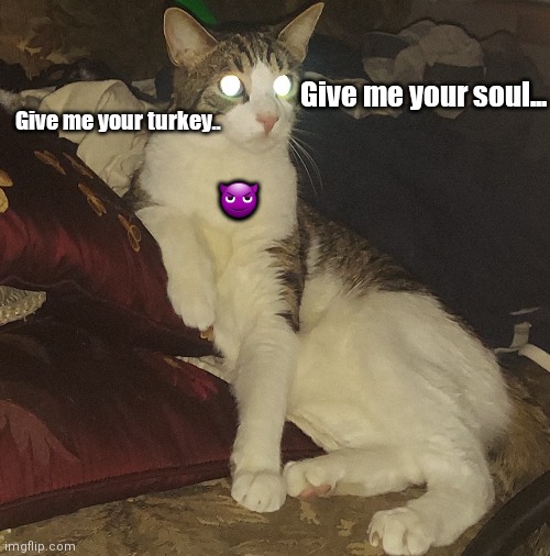 The Dark Lord Santino |  Give me your soul... Give me your turkey.. 😈 | image tagged in funny | made w/ Imgflip meme maker