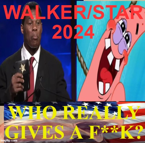 Republican dynamic duel |  WALKER/STAR
2024; WHO REALLY GIVES A F**K? | image tagged in donald trump,maga,political meme,presidential election,stupid people | made w/ Imgflip meme maker