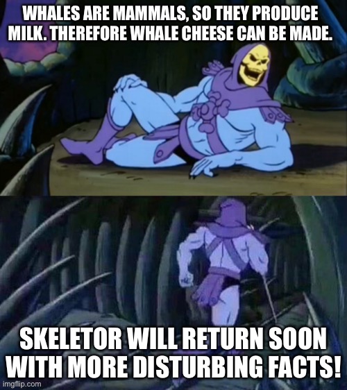 Skeletor disturbing facts | WHALES ARE MAMMALS, SO THEY PRODUCE MILK. THEREFORE WHALE CHEESE CAN BE MADE. SKELETOR WILL RETURN SOON WITH MORE DISTURBING FACTS! | image tagged in skeletor disturbing facts | made w/ Imgflip meme maker