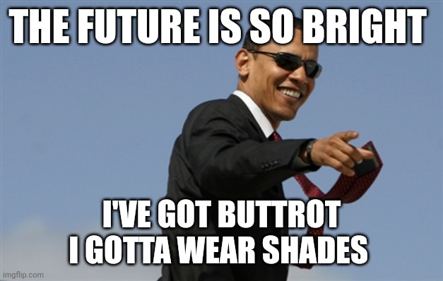 Cool Obama | THE FUTURE IS SO BRIGHT; I'VE GOT BUTTROT
I GOTTA WEAR SHADES | image tagged in memes,cool obama | made w/ Imgflip meme maker