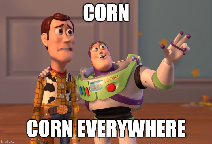 When you live in central illinois | CORN; CORN EVERYWHERE | image tagged in memes,x x everywhere | made w/ Imgflip meme maker