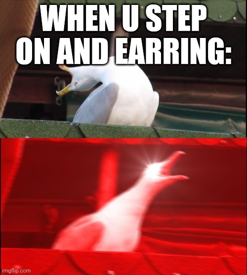 screaming seagull | WHEN U STEP ON AND EARRING: | image tagged in screaming seagull | made w/ Imgflip meme maker