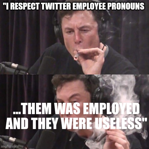 Modern-day language | "I RESPECT TWITTER EMPLOYEE PRONOUNS; ...THEM WAS EMPLOYED AND THEY WERE USELESS" | image tagged in elon musk weed | made w/ Imgflip meme maker