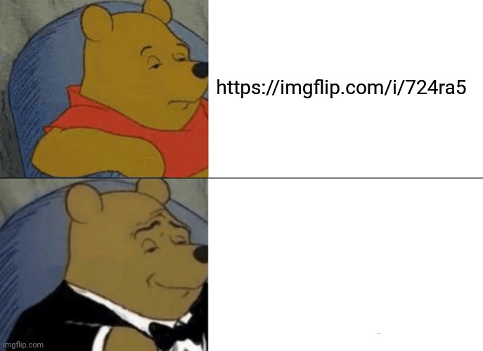Idk | https://imgflip.com/i/724ra5 | image tagged in memes,tuxedo winnie the pooh | made w/ Imgflip meme maker