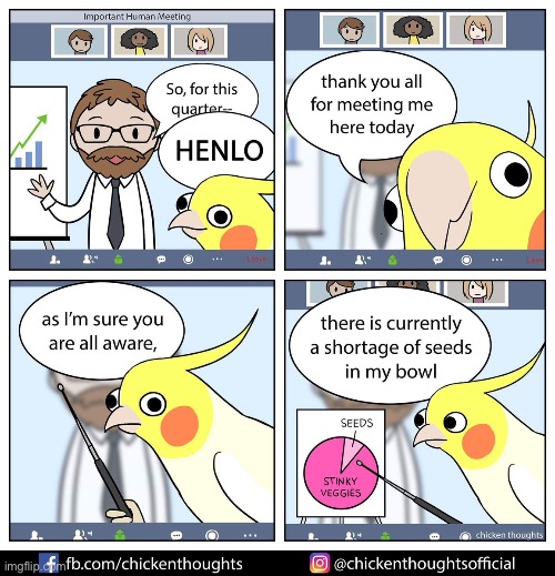 Please put this in comics | image tagged in chicken thoughts | made w/ Imgflip meme maker