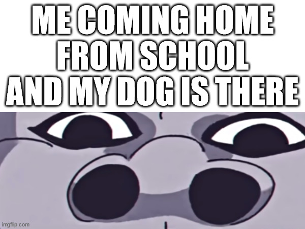 true story | ME COMING HOME FROM SCHOOL AND MY DOG IS THERE | image tagged in memes,dogs,school,oh wow are you actually reading these tags | made w/ Imgflip meme maker