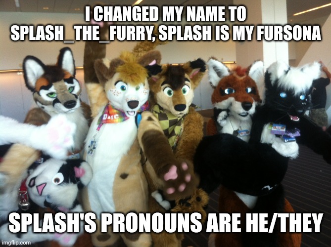 Furries | I CHANGED MY NAME TO SPLASH_THE_FURRY, SPLASH IS MY FURSONA; SPLASH'S PRONOUNS ARE HE/THEY | image tagged in furries | made w/ Imgflip meme maker
