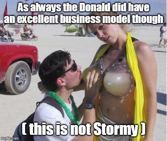 As always the Donald did have an excellent business model though ( this is not Stormy ) | made w/ Imgflip meme maker