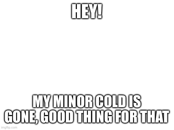 highest temp i got was 99.8 degrees | HEY! MY MINOR COLD IS GONE, GOOD THING FOR THAT | made w/ Imgflip meme maker