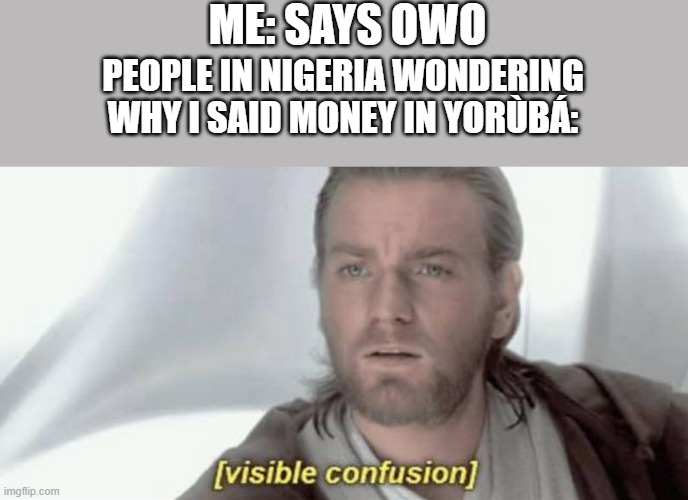 *Confusion* | ME: SAYS OWO; PEOPLE IN NIGERIA WONDERING WHY I SAID MONEY IN YORÙBÁ: | image tagged in visible confusion | made w/ Imgflip meme maker