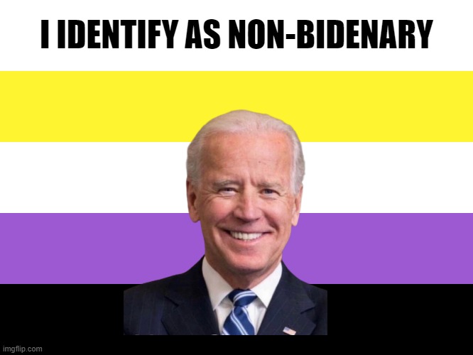 My Orientation | I IDENTIFY AS NON-BIDENARY | image tagged in nonbinary | made w/ Imgflip meme maker