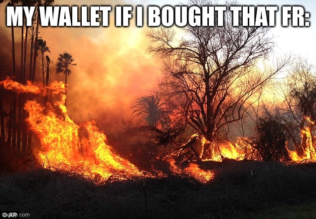 Flame War Flames Devastation | MY WALLET IF I BOUGHT THAT FR: | image tagged in flame war flames devastation | made w/ Imgflip meme maker