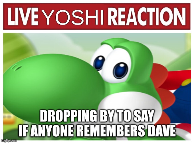 Live Yoshi Reaction | DROPPING BY TO SAY IF ANYONE REMEMBERS DAVE | image tagged in live yoshi reaction | made w/ Imgflip meme maker