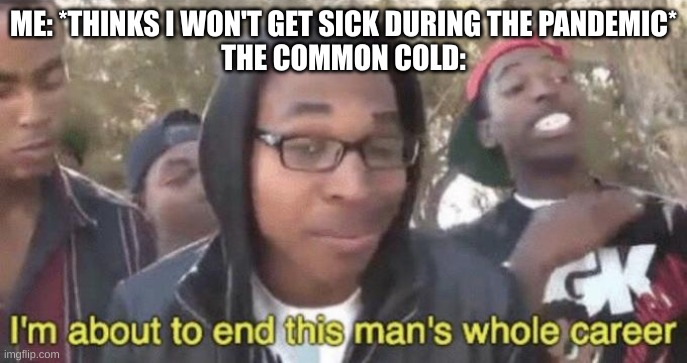 Colds are not fun | ME: *THINKS I WON'T GET SICK DURING THE PANDEMIC*
THE COMMON COLD: | image tagged in i m about to end this man s whole career | made w/ Imgflip meme maker