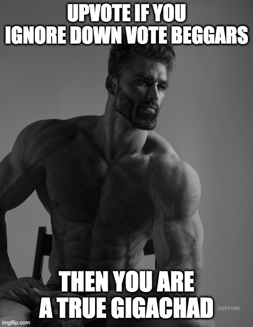 Giga Chad | UPVOTE IF YOU IGNORE DOWN VOTE BEGGARS; THEN YOU ARE A TRUE GIGACHAD | image tagged in giga chad | made w/ Imgflip meme maker