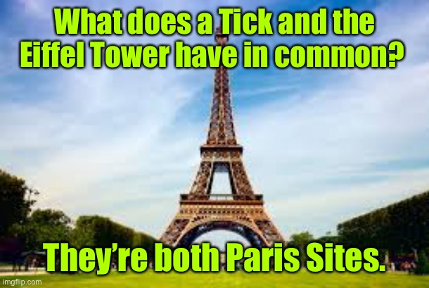 Paris sites | What does a Tick and the Eiffel Tower have in common? They’re both Paris Sites. | image tagged in eiffel tower,tick and eiffel tower,have in common,paris sites | made w/ Imgflip meme maker