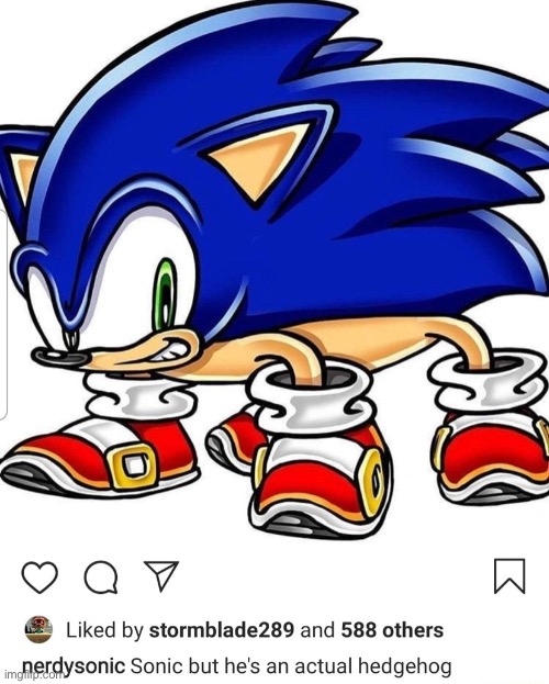 image tagged in sonic,shitpost | made w/ Imgflip meme maker