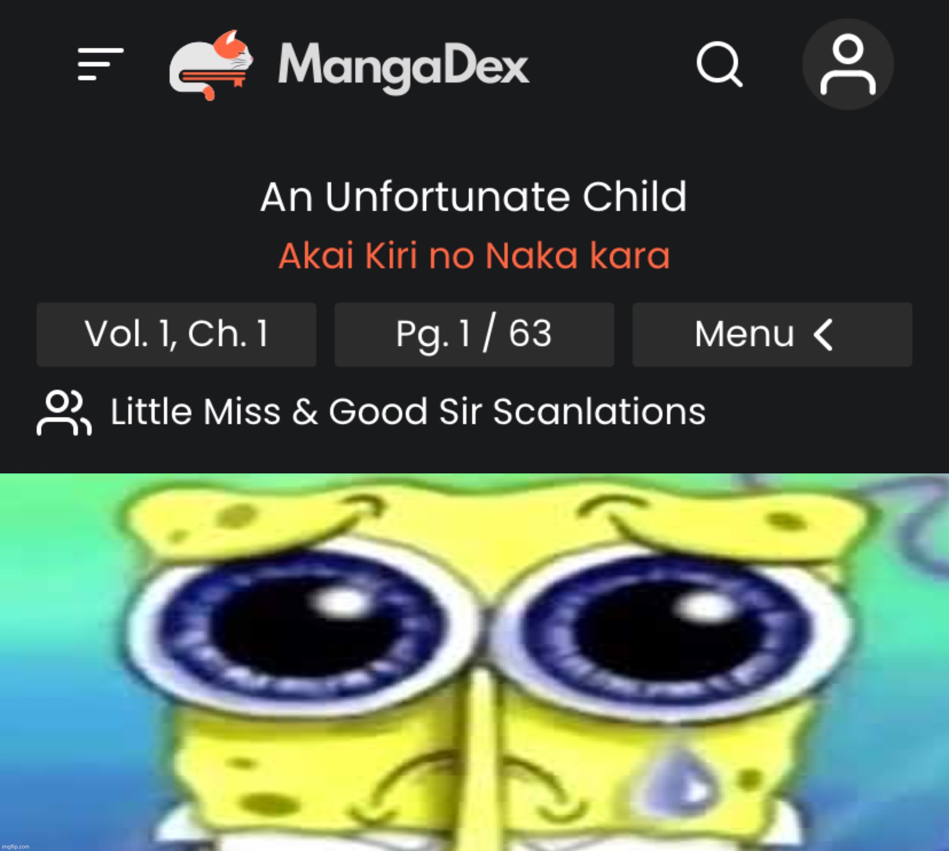 Bruh each chapter is literally 60 pages long, usually it’s like 20-30 | image tagged in sad spong | made w/ Imgflip meme maker