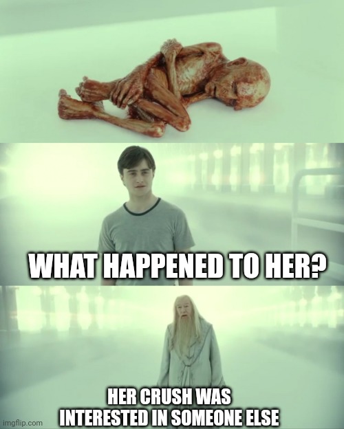Harry Potter and Dumbledore | WHAT HAPPENED TO HER? HER CRUSH WAS INTERESTED IN SOMEONE ELSE | image tagged in harry potter and dumbledore | made w/ Imgflip meme maker