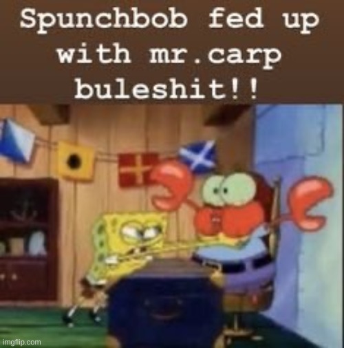 spunchbob fed up with mr carp buleshit | image tagged in spunchbob fed up with mr carp buleshit | made w/ Imgflip meme maker