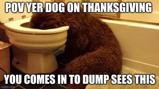 POV YER DOG ON THANKSGIVING; YOU COMES IN TO DUMP SEES THIS | made w/ Imgflip meme maker