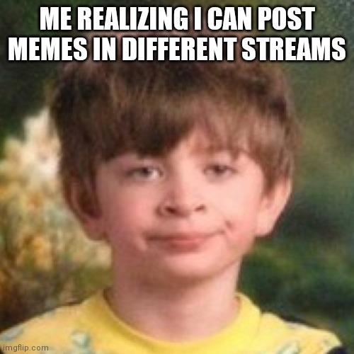 I just learned this. I'm an idiot | ME REALIZING I CAN POST MEMES IN DIFFERENT STREAMS | image tagged in annoyed face | made w/ Imgflip meme maker