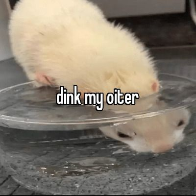 High Quality Dink my oiter Blank Meme Template