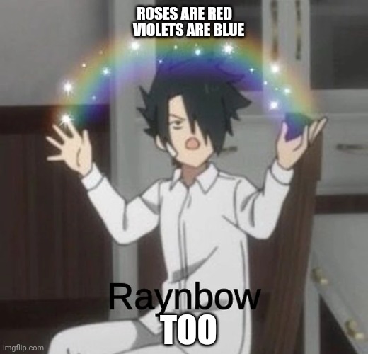 Raynbow | ROSES ARE RED; VIOLETS ARE BLUE; TOO | image tagged in raynbow | made w/ Imgflip meme maker