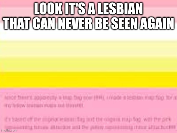 ew | LOOK IT'S A LESBIAN THAT CAN NEVER BE SEEN AGAIN | image tagged in lesbians | made w/ Imgflip meme maker